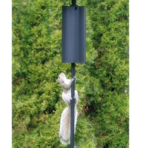 Cylinder Squirrel Pole Baffle